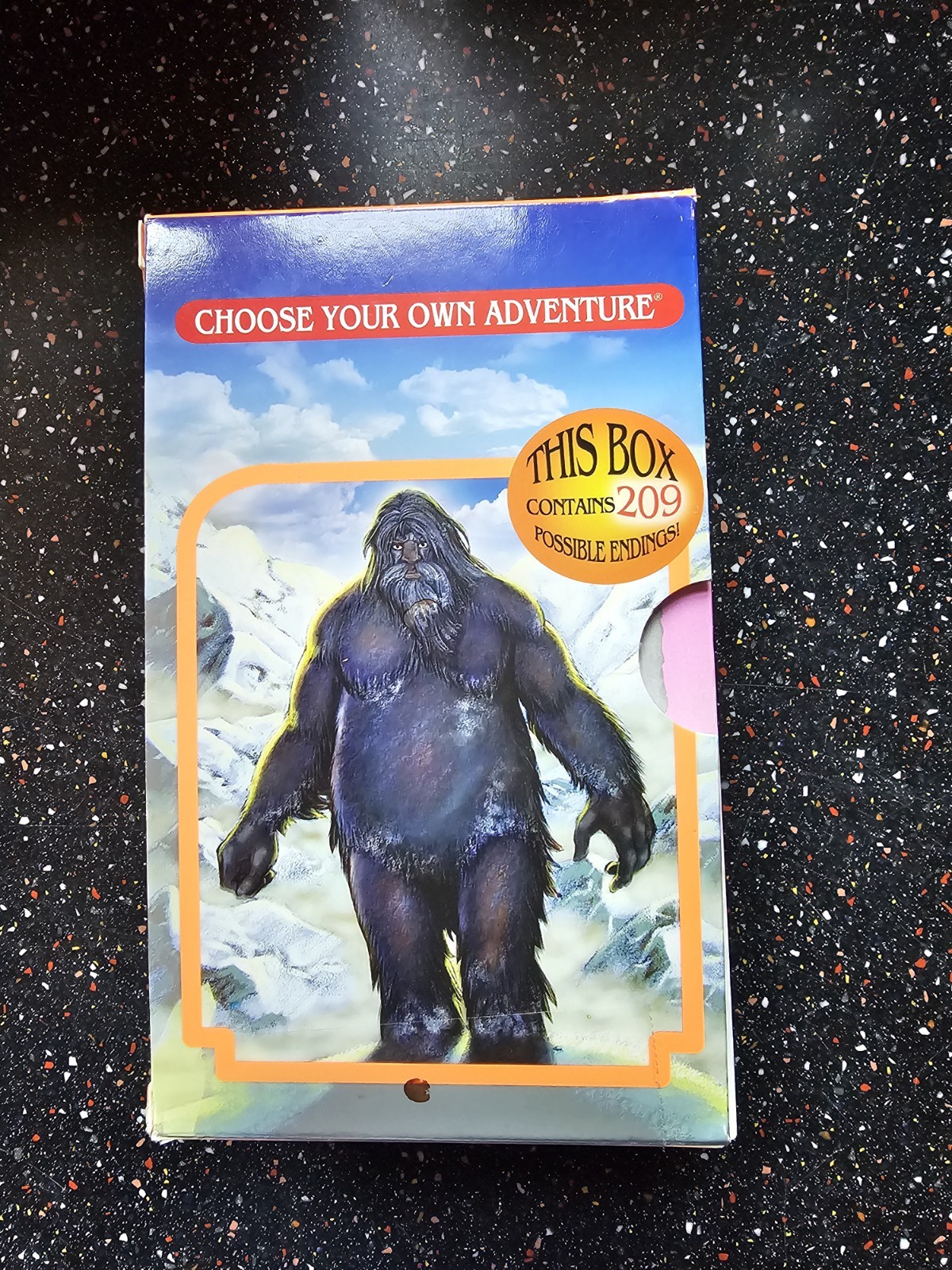 Choose Your Own Adventure 6-Book Boxed Set (Contains 209 Possible Endings)