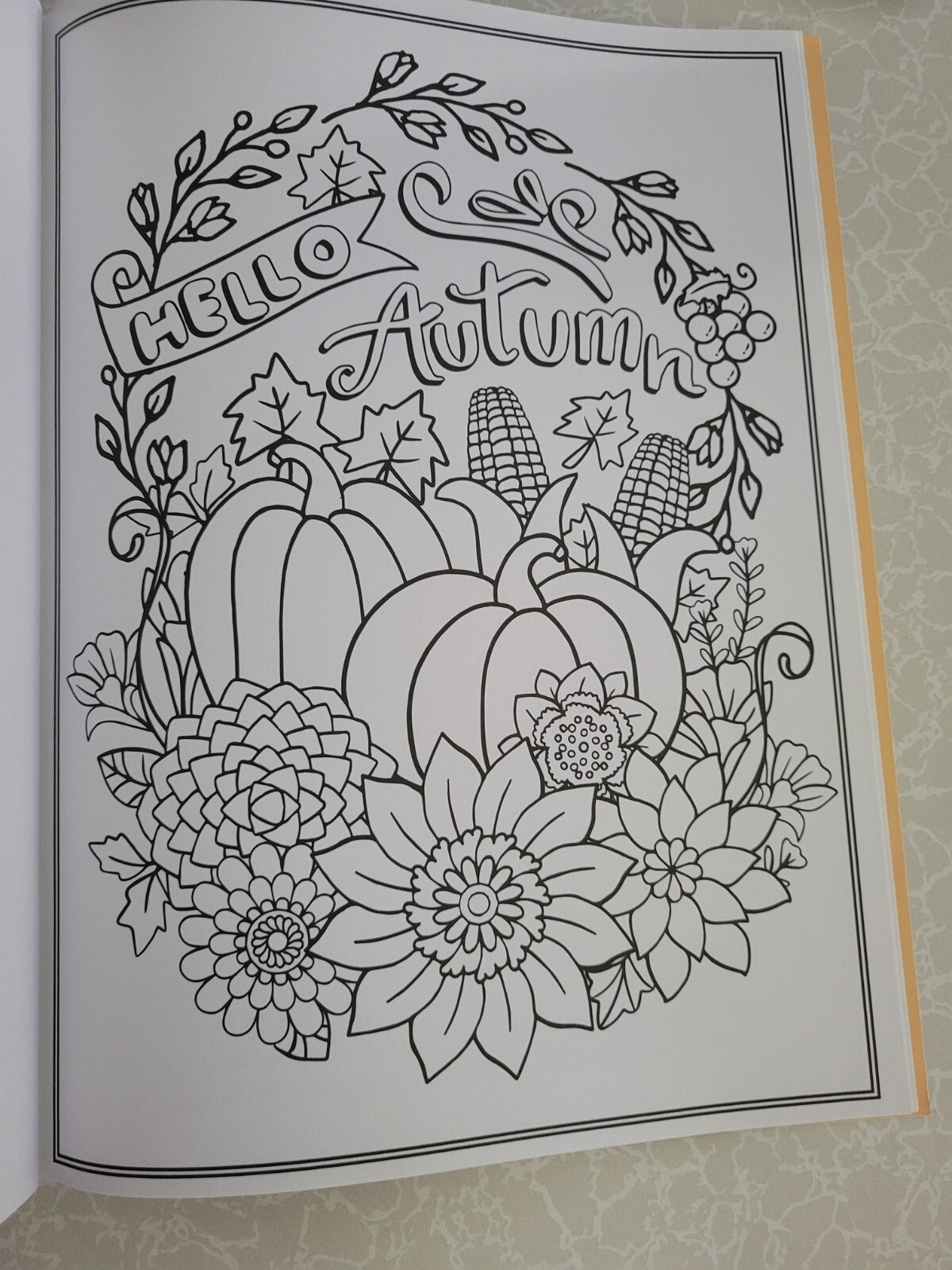 THANKSGIVING ADULT COLORING BOOK – 2022 CENTENNIAL – 32 FESTIVE COLORING PAGES