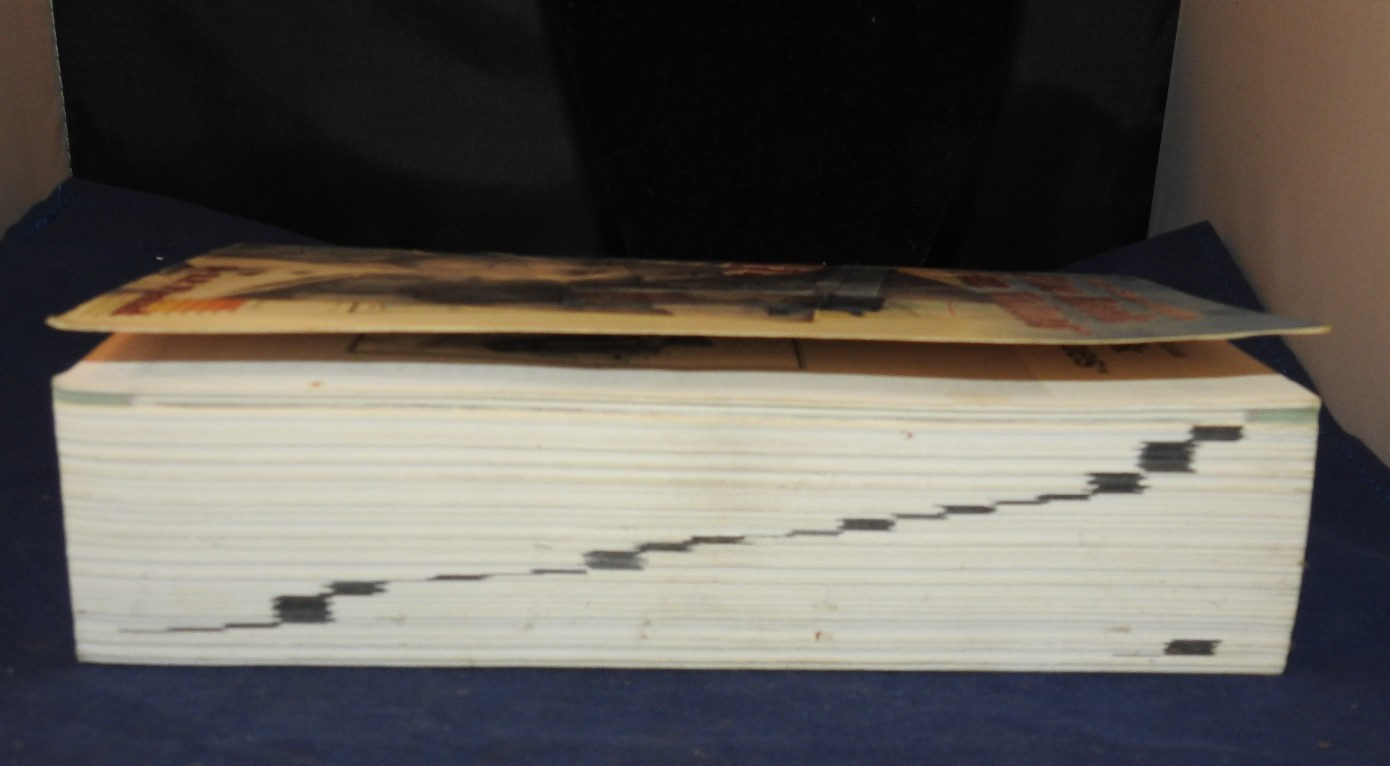 2001 Paper cover book 22nd ed. Blue Book of Gun Value