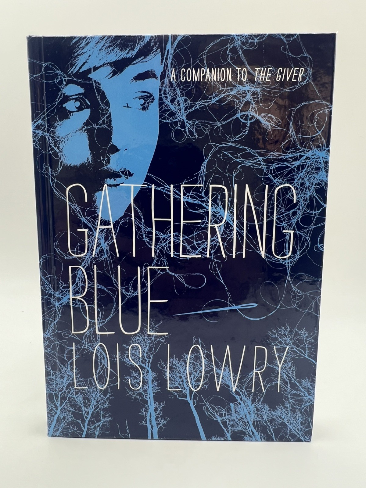 The Giver Quartet Box Set Hardcover Lois Lowry Gathering Blue Son Messenger