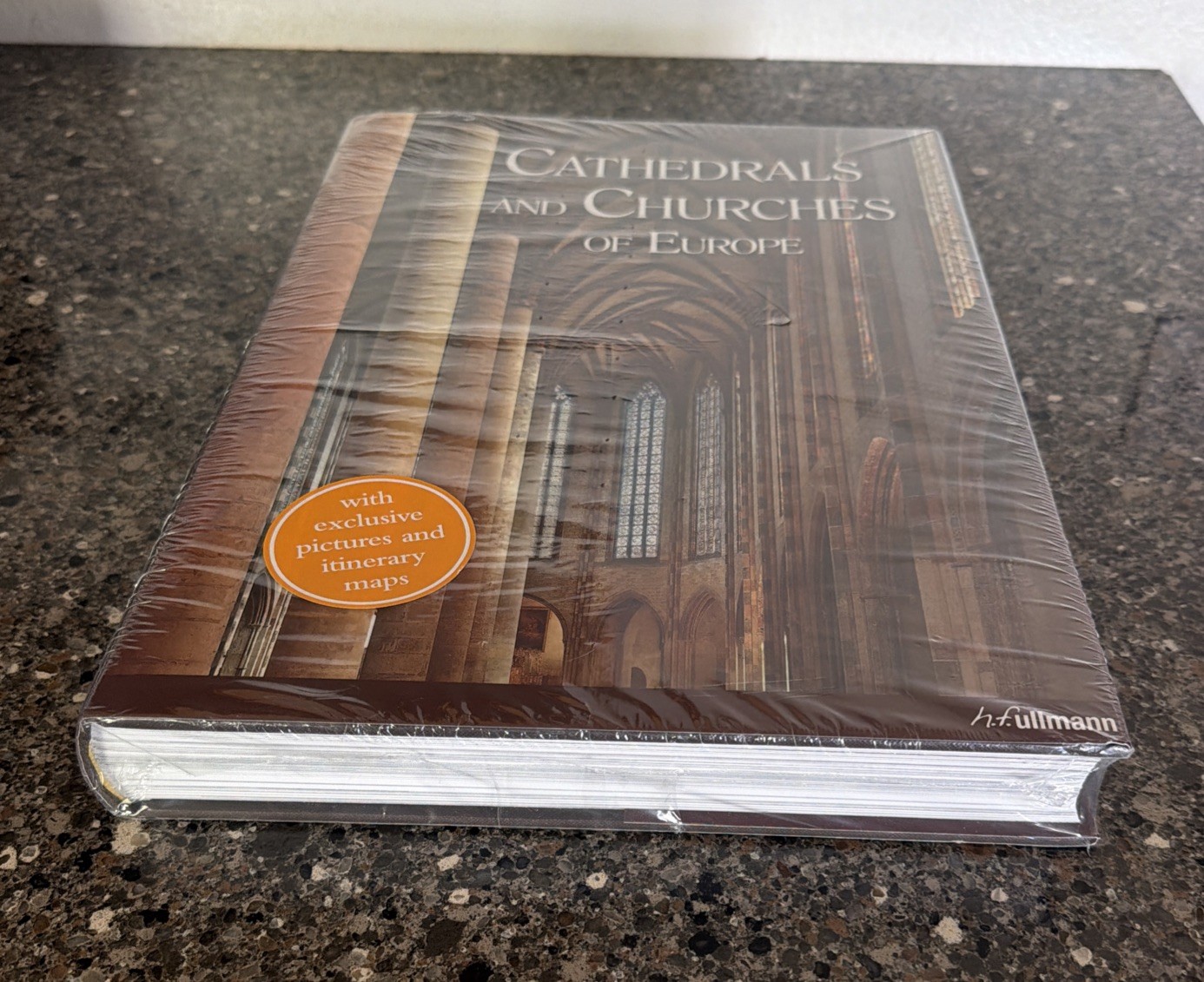 Churches and Cathedrals in Europe by Barbara Borngässer (2015, Hardcover)Sealed