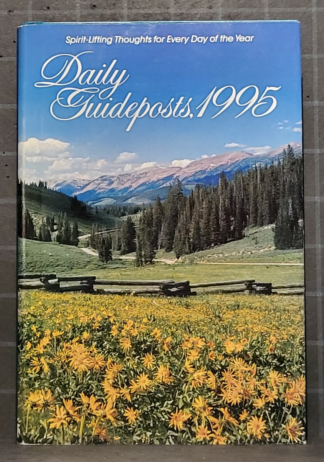 Daily Guideposts 1995 Spirit-Lifting Devotional Every Day of the Year 856