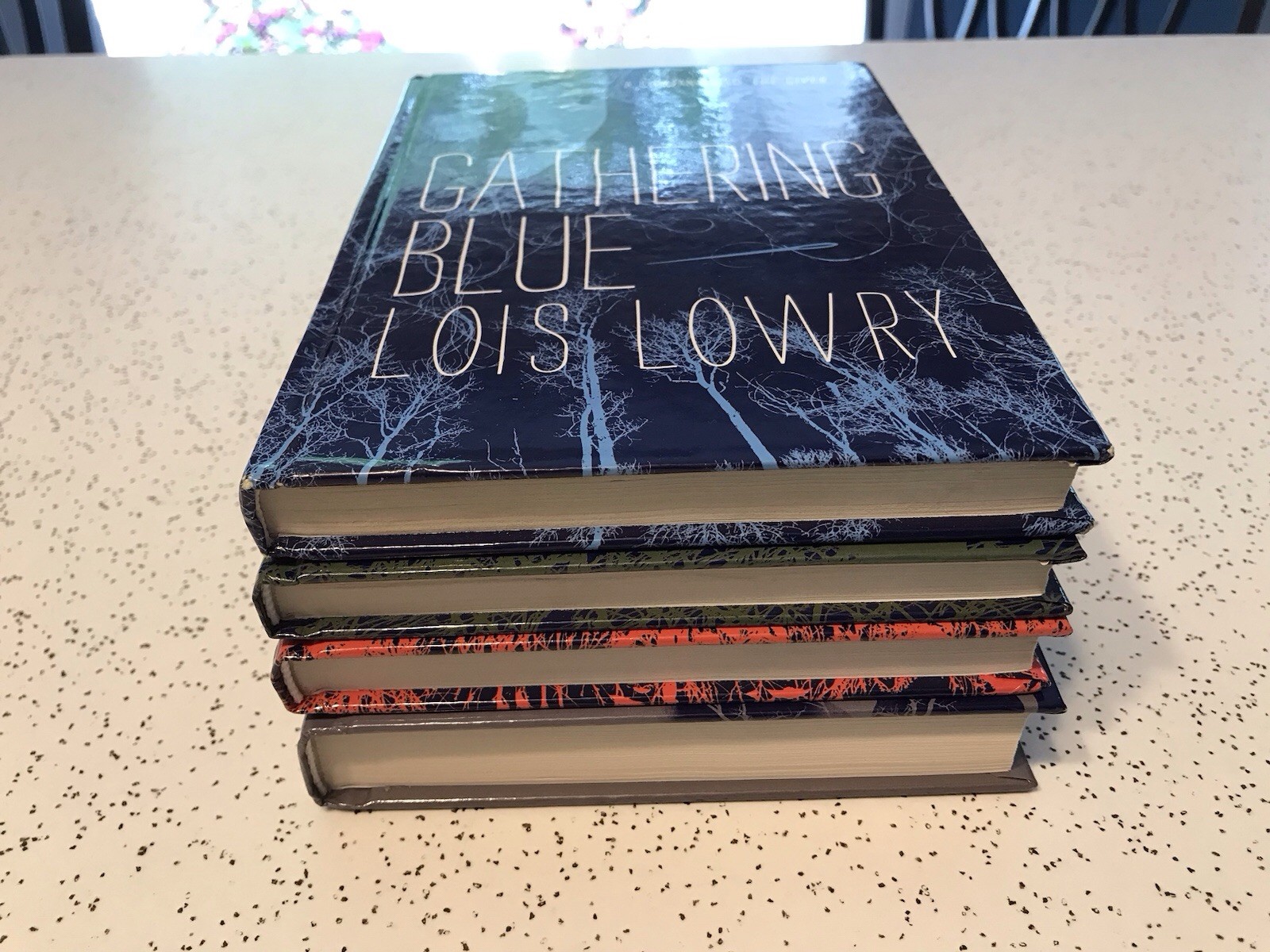 Giver Quartet Box Set by Lois Lowry 2014 Quanity Pack VG+ Condition