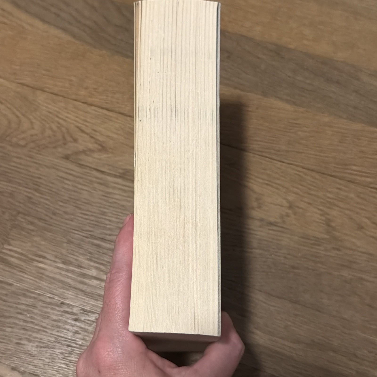 A Court of Mist and Fury Paperback OOP Original Cover Sarah J. Maas