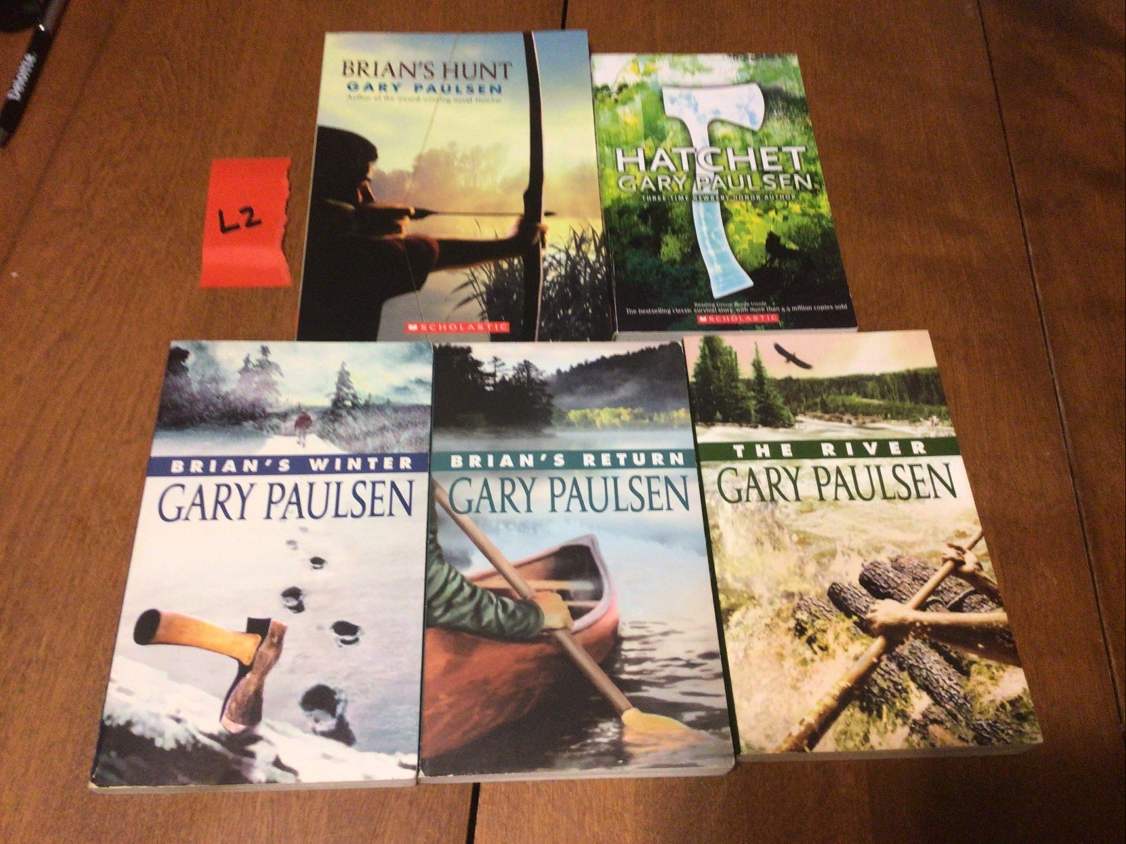 Complete Set Lot Of 5 BRIAN Books Paulsen HATCHET River HUNT Return WINTER (L2)