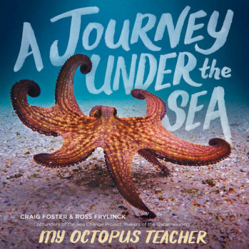 A Journey Under the Sea – Hardcover By Foster, Craig – GOOD