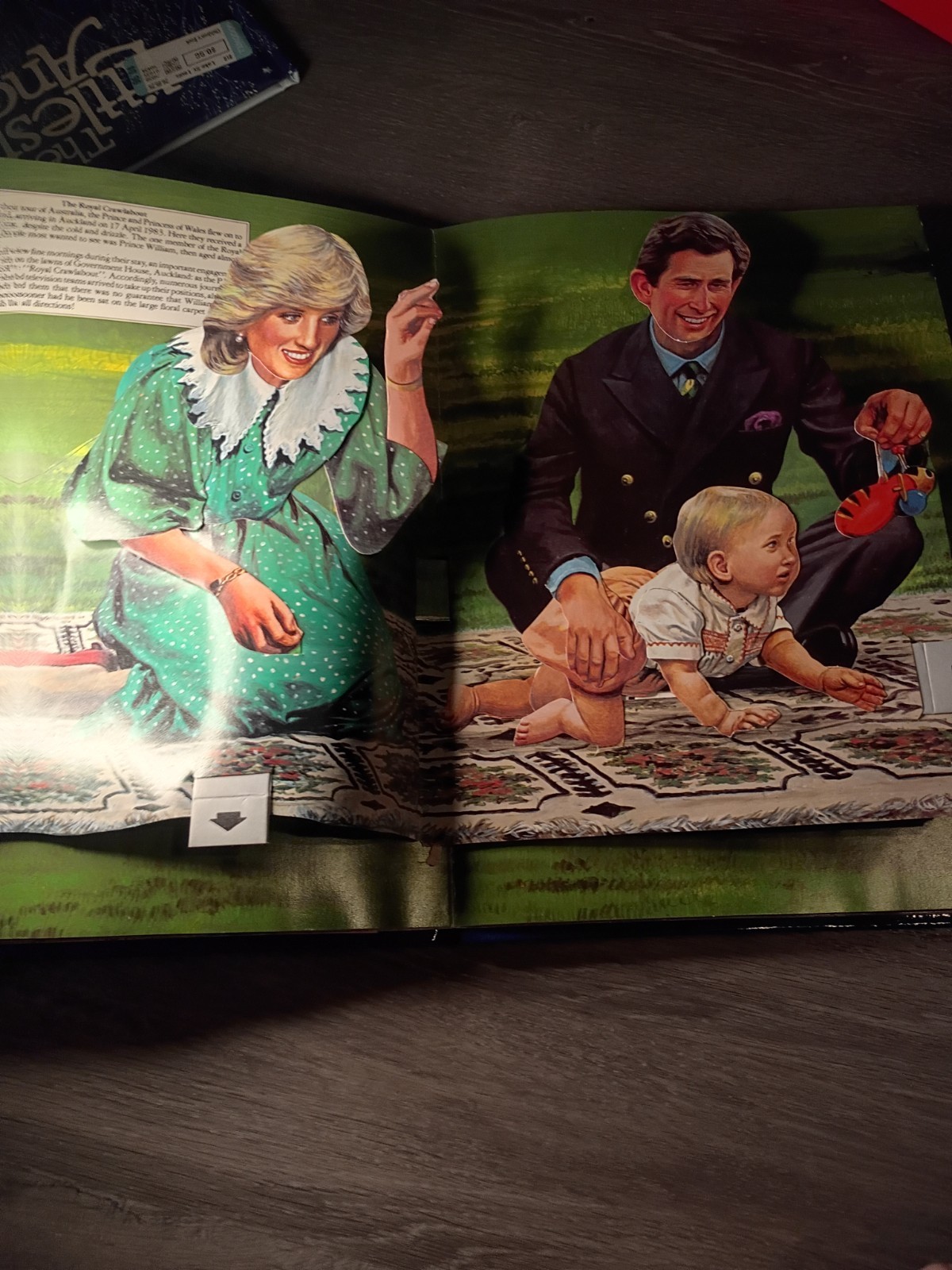 The Royal Family Pop-Up Book Princess Diane & Charles by Patrick Montague-Smith