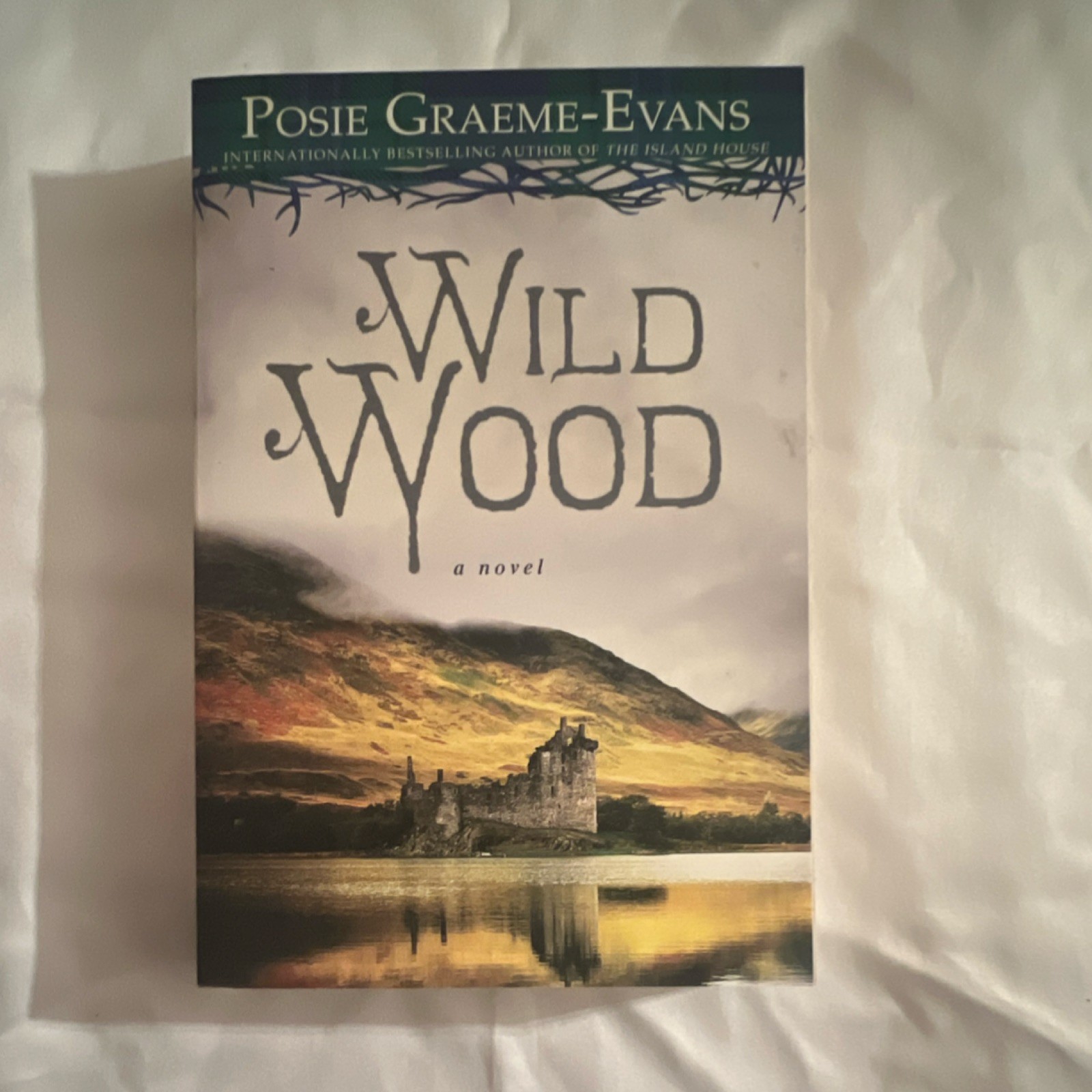 Wild Wood by Posie Graeme-Evans Atria Books Paperback First Edition 2015 Fiction