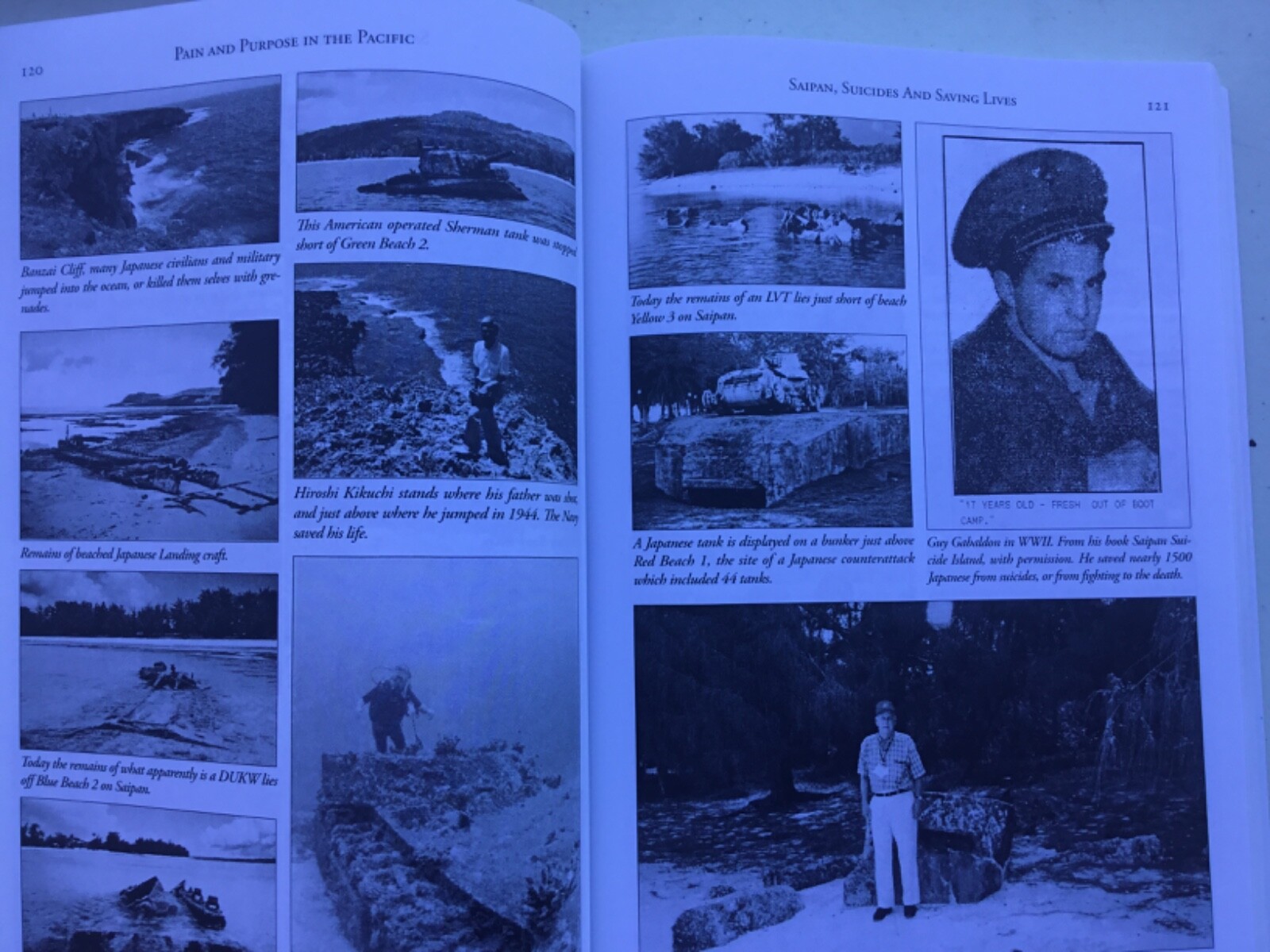 Pain & Purpose In the Pacific: True Reports Of War Richard Carl Bright Iwo Jima