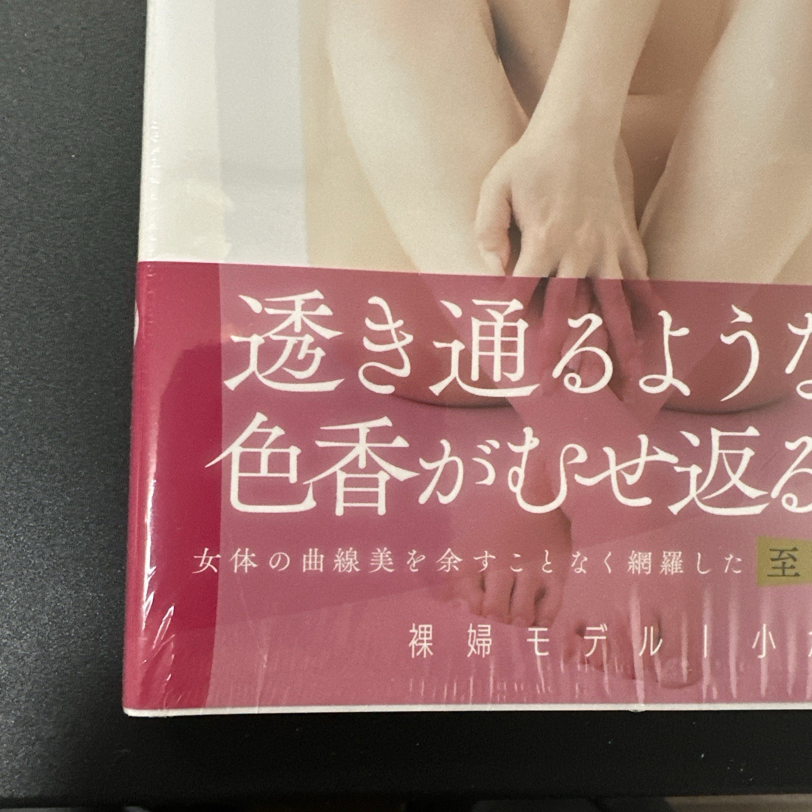 Premium Drawing Pose Book Japanese Idol Yuna Ogura-144pages-2023-From japan