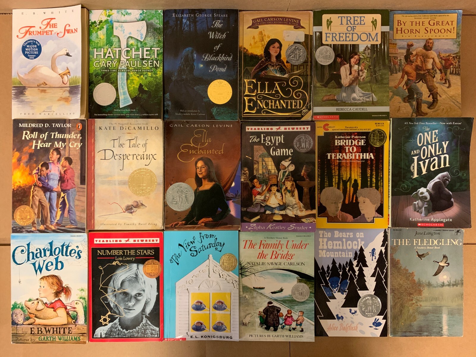 Lot of 15 Newbery Honor Award Winning Chapter Children Kid Books AR *RANDOM MIX