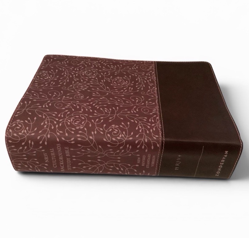Rare NRSV Cultural Backgrounds Study Bible Zondervan 2019 Leathersoft Burgundy