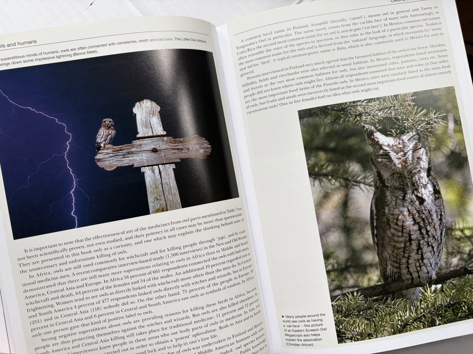 Owls of the World : A Photographic Guide Hardcover Heimo Mikkola