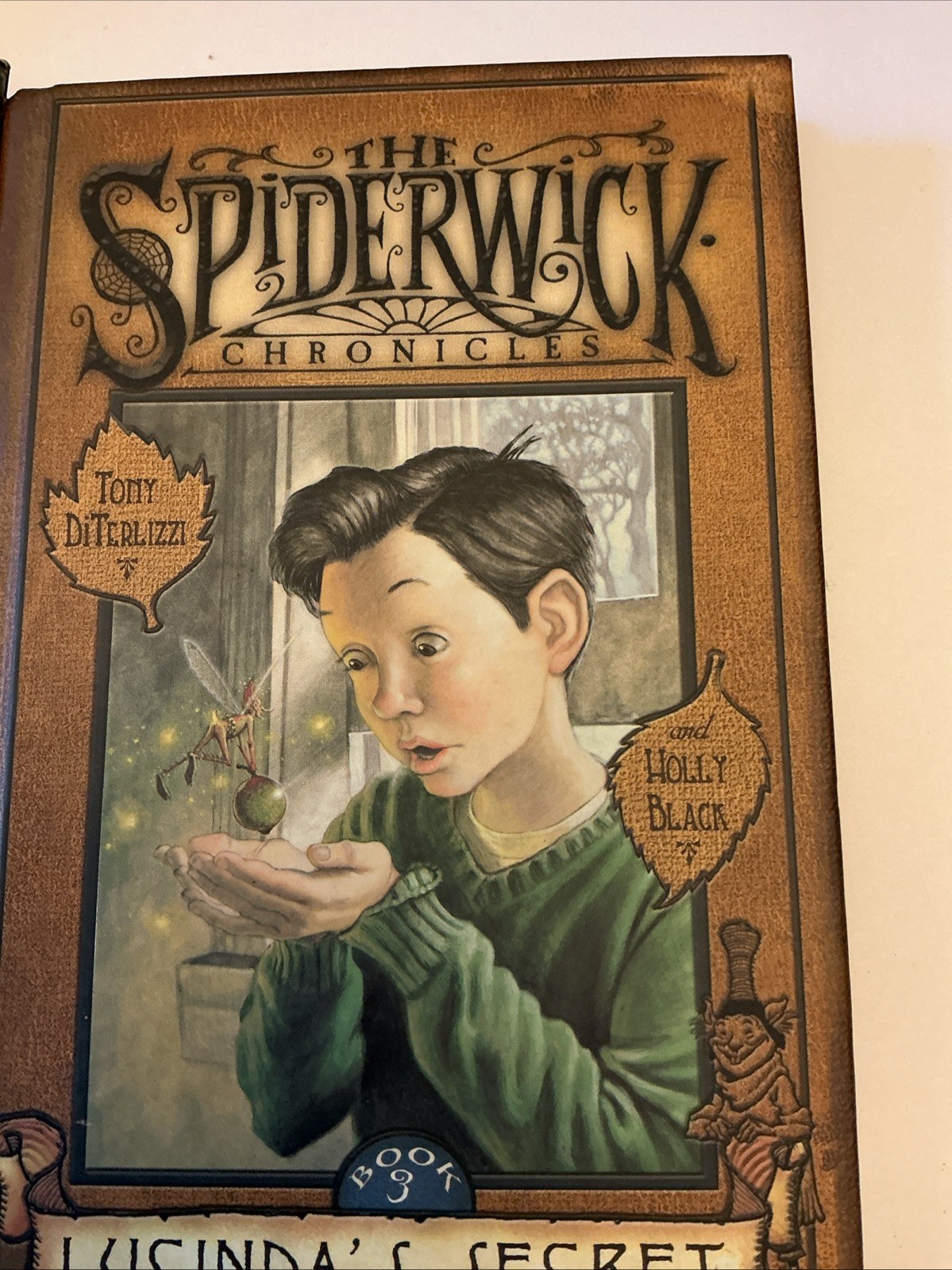 The Spiderwick Chronicles Series All 4 Books in Hardcover Box Lot Set
