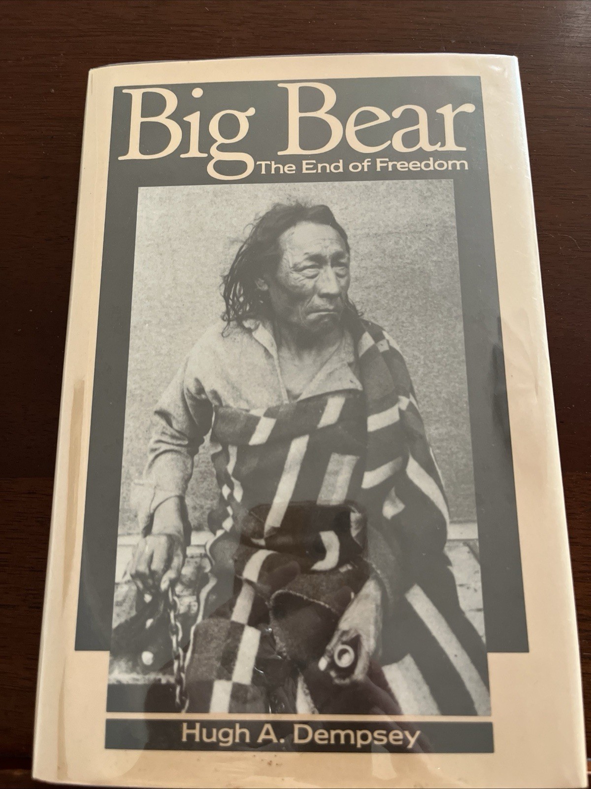 Big Bear The End of Freedom by Dempsey Hardcover 1st Edition Dust Jacket