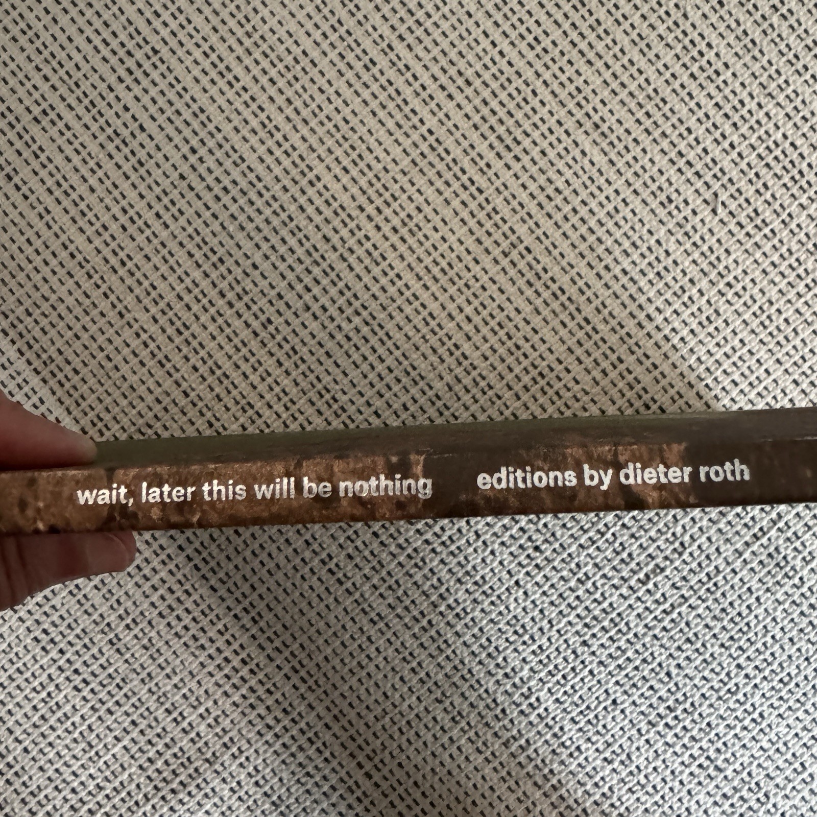 wait, later this will be nothing: Editions by Dieter Roth Art Book MoMA 2013