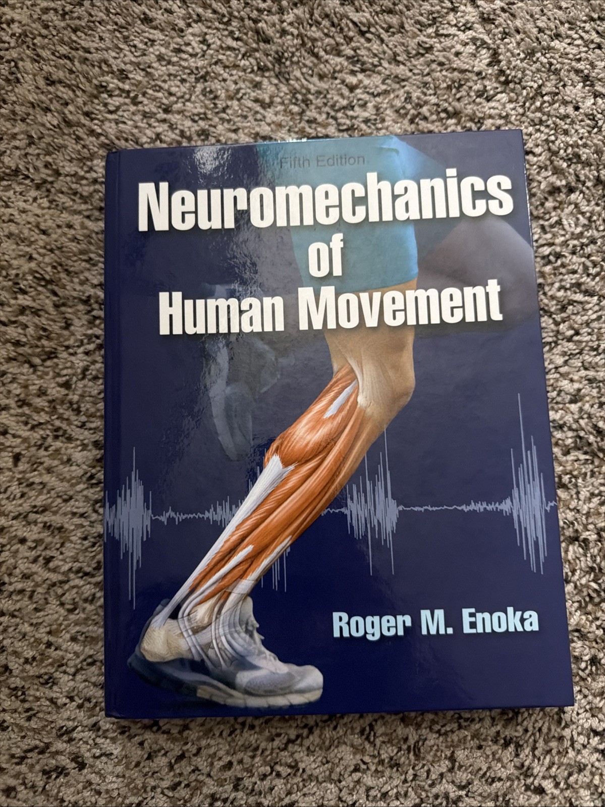 Neuromechanics of Human Movement by Roger M. Enoka (2015, Hardcover)