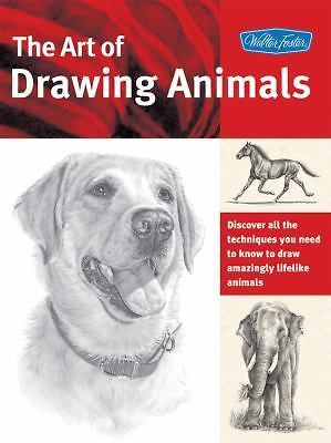 The Art of Drawing Animals: Discover all the techniques you need to know – GOOD