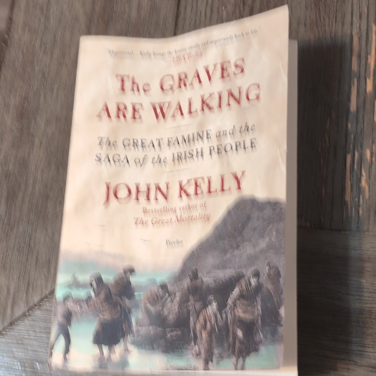 Picador The Graves Are Walking John Kelly Paperback Ireland History