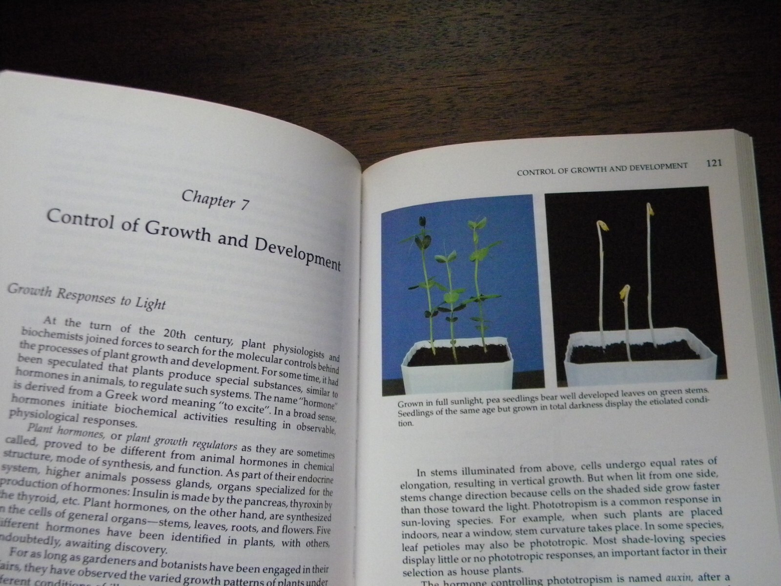 Botany For Gardeners by Brian Capon 1995 PB