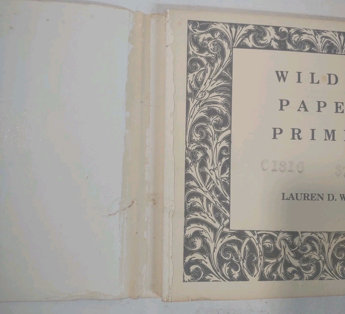 Wild’s Paper Primer by Lauren D Wild 1982