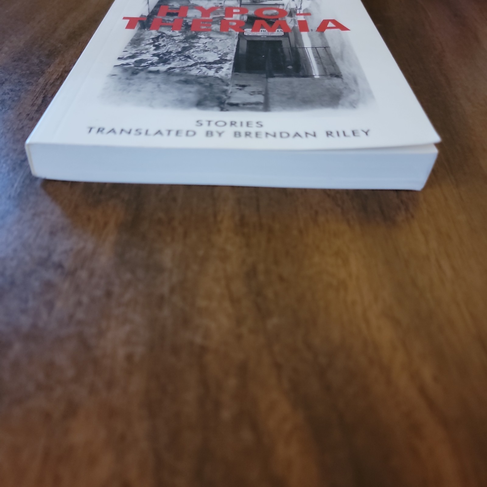 Hypothermia by Alvaro Enrigue (English) – Translate4d by Brendan Riley